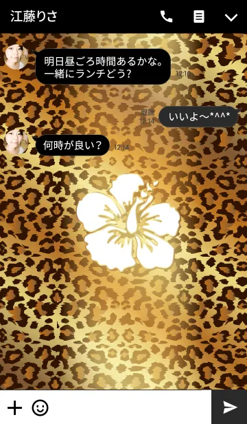[LINE着せ替え] ハイビスカス ヒョウ柄の画像3