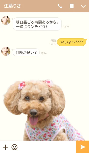 [LINE着せ替え] トイプードル マクちゃんの画像3