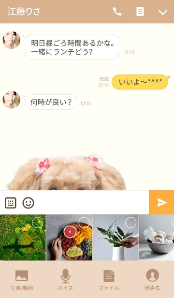 [LINE着せ替え] トイプードル マクちゃんの画像4