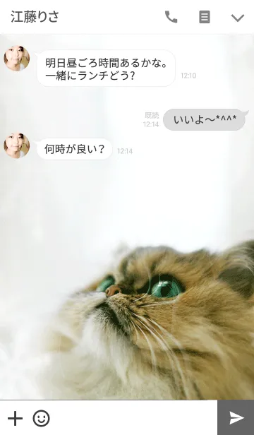 [LINE着せ替え] NICO -にこ-の画像3