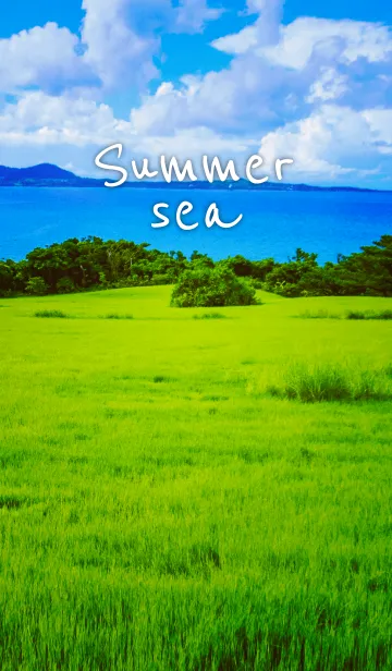 [LINE着せ替え] -summer sea-の画像1