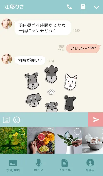 [LINE着せ替え] シュナウザーいっぱい！の画像4