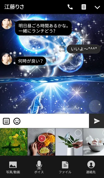 [LINE着せ替え] Dolphin Moonの画像4