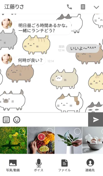 [LINE着せ替え] 猫が。たくさんの画像4