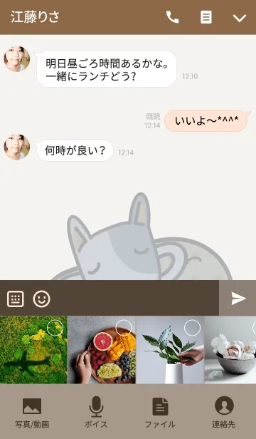 [LINE着せ替え] ブルテリア（Daifuku）の着せ替えの画像4