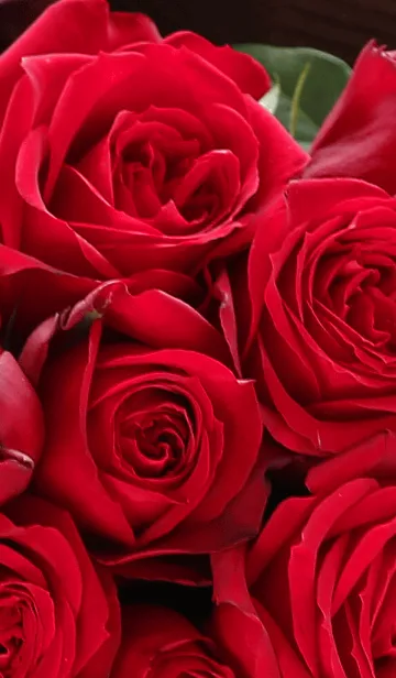 [LINE着せ替え] 【flower】led roseの画像1