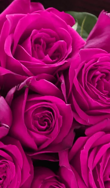 [LINE着せ替え] 【flower】pink roseの画像1