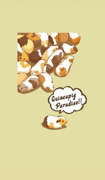 [LINE着せ替え] モルモットパラダイスの画像1