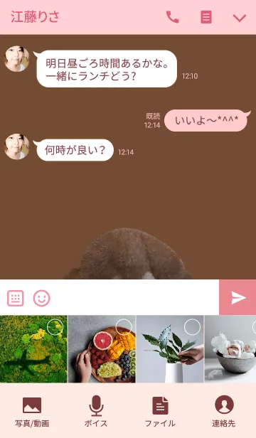 [LINE着せ替え] NIKUKYU かわいい猫の肉球の画像4