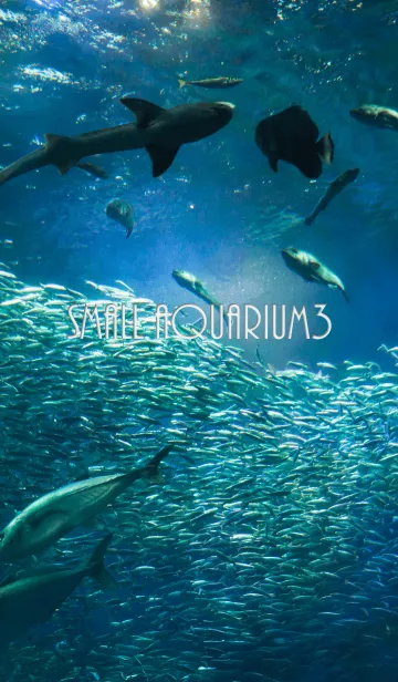 [LINE着せ替え] アクアリウム3の画像1