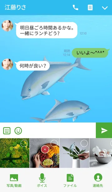 [LINE着せ替え] カンパチ 1の画像4