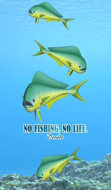 [LINE着せ替え] シイラ 1の画像1