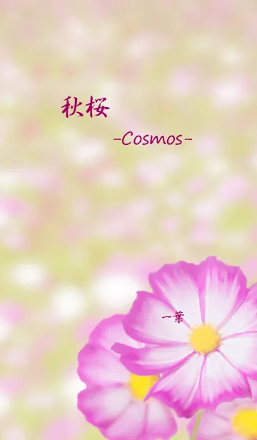 [LINE着せ替え] -Cosmos-の画像1