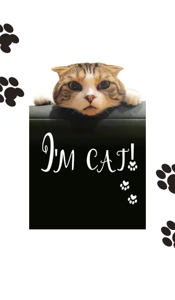 [LINE着せ替え] I'm cat！の画像1