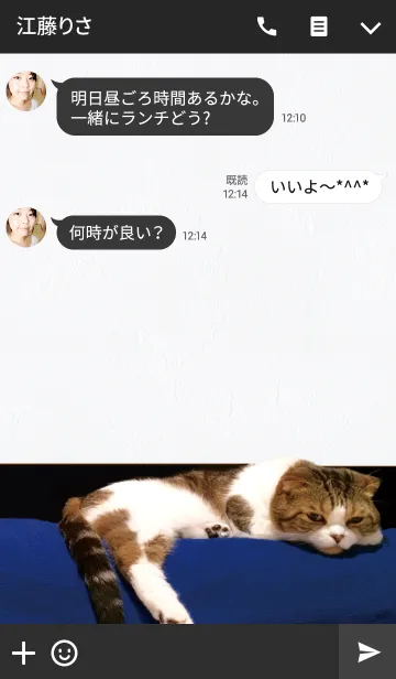 [LINE着せ替え] I'm cat！の画像3