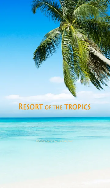 [LINE着せ替え] Resort of the tropicsの画像1