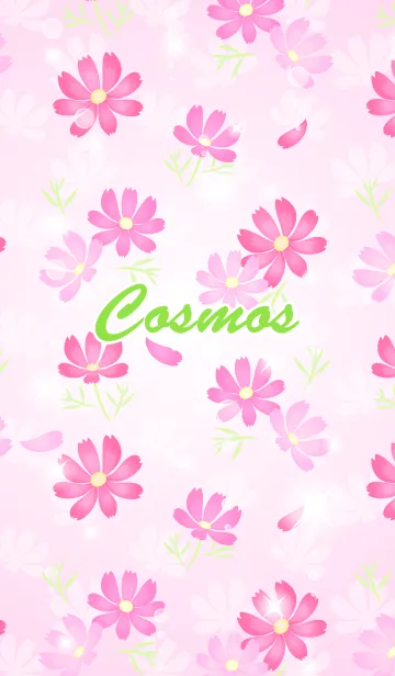 [LINE着せ替え] 秋桜-2 可愛いコスモスの着せかえピンクの画像1