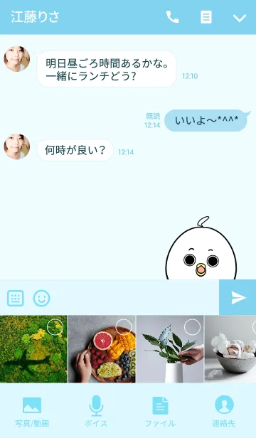 [LINE着せ替え] そうじさん専用かわいいトリの名前着せかえの画像4