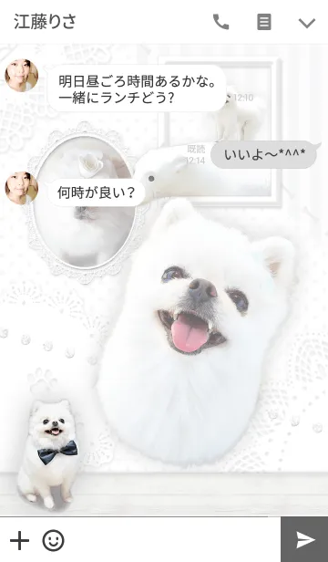[LINE着せ替え] モフモフ☆白ポメラニアン ミオ 着せかえの画像3