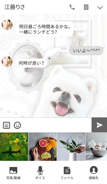 [LINE着せ替え] モフモフ☆白ポメラニアン ミオ 着せかえの画像4