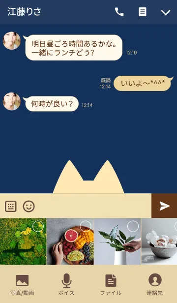 [LINE着せ替え] HIGE NEKO navy ＆ beigeの画像4