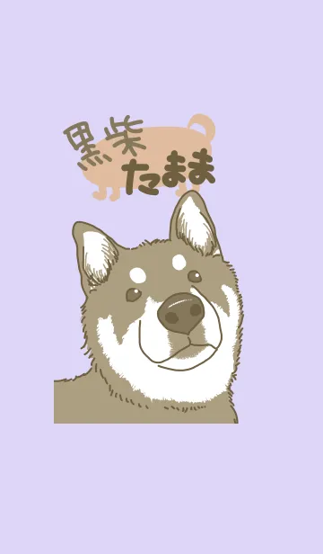 [LINE着せ替え] 黒柴たまこの画像1
