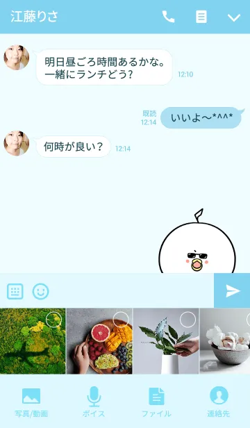 [LINE着せ替え] とうやさん専用かわいいトリの名前着せかえの画像4