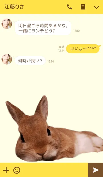 [LINE着せ替え] うさぎのここちゃん2の画像3