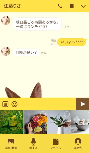 [LINE着せ替え] うさぎのここちゃん2の画像4