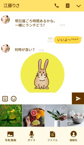 [LINE着せ替え] 運気が上がるUSAの画像4