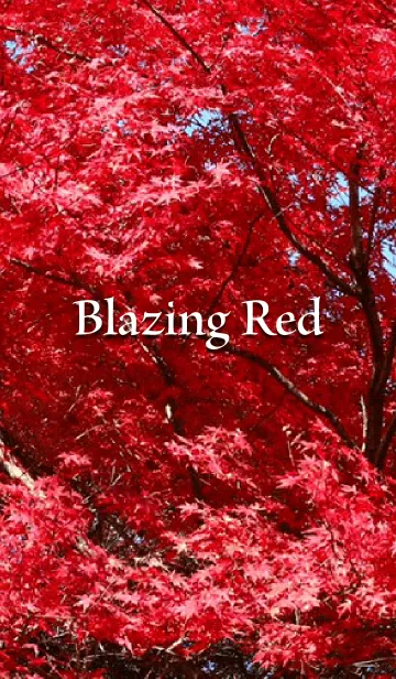 [LINE着せ替え] Blazing Redの画像1