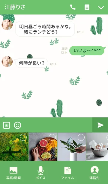 [LINE着せ替え] 緑のサボテンの画像4