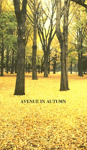 [LINE着せ替え] 秋の並木道の画像1
