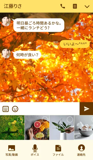[LINE着せ替え] 見上げるもみじの画像4