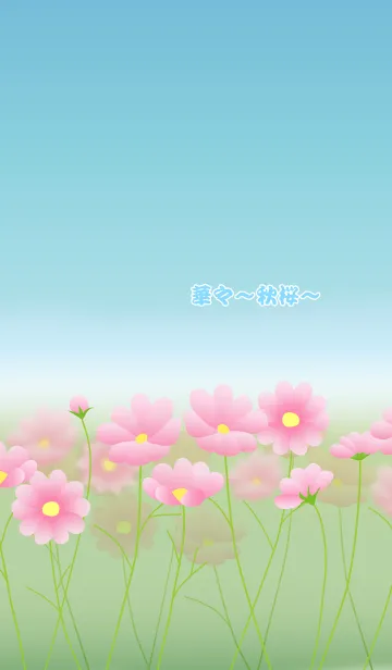[LINE着せ替え] 華々~秋桜~の画像1