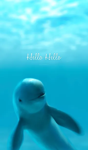 [LINE着せ替え] Hello Helloの画像1