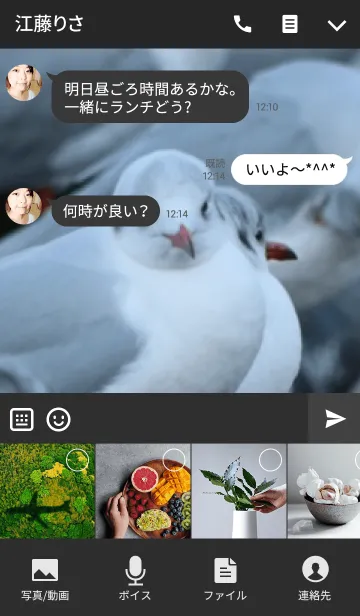 [LINE着せ替え] ゆりかもめ II -Black-headed gull-の画像4