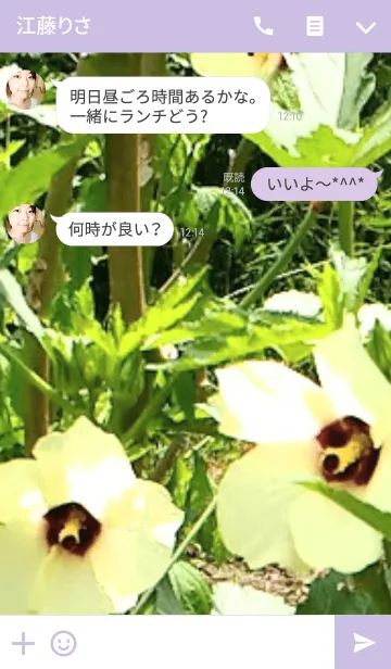 [LINE着せ替え] Elegant okra flowers.の画像3