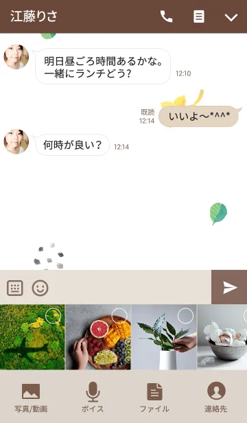 [LINE着せ替え] 多肉植物と南国の鳥の画像4