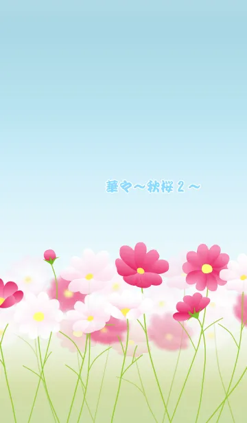 [LINE着せ替え] 華々~秋桜2~の画像1