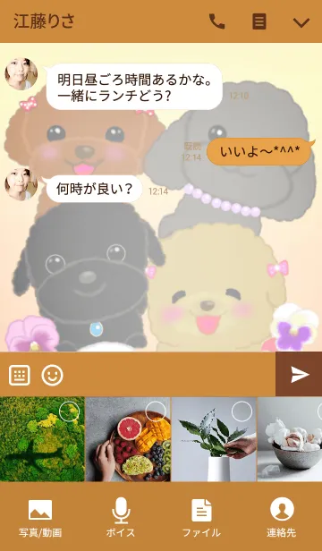 [LINE着せ替え] TOY POODLE♡PANSYの画像4