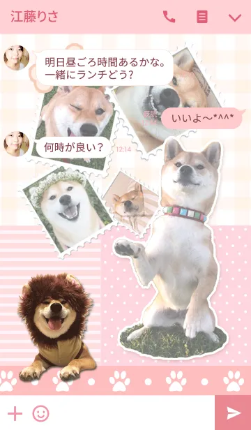 [LINE着せ替え] 柴犬・マロたん 着せかえの画像3