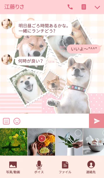 [LINE着せ替え] 柴犬・マロたん 着せかえの画像4