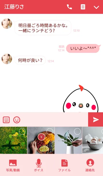 [LINE着せ替え] しょうこ用かわいいニワトリの名前着せかえの画像4