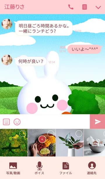 [LINE着せ替え] うさぎ爆弾の画像4