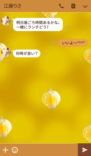 [LINE着せ替え] ほおずきランプの画像3