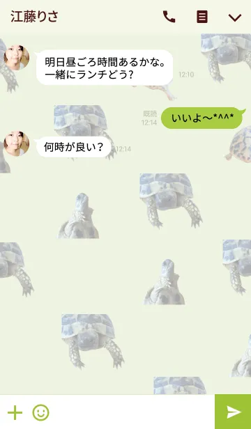 [LINE着せ替え] のんびり屋さんのリクガメ着せ替えの画像3