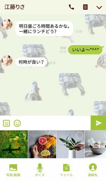 [LINE着せ替え] のんびり屋さんのリクガメ着せ替えの画像4