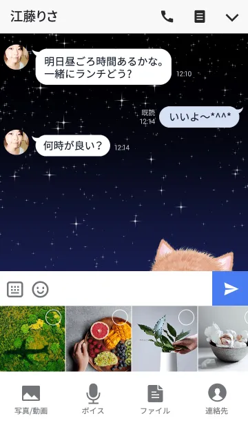 [LINE着せ替え] 秋のお月見三毛猫の着せかえの画像4