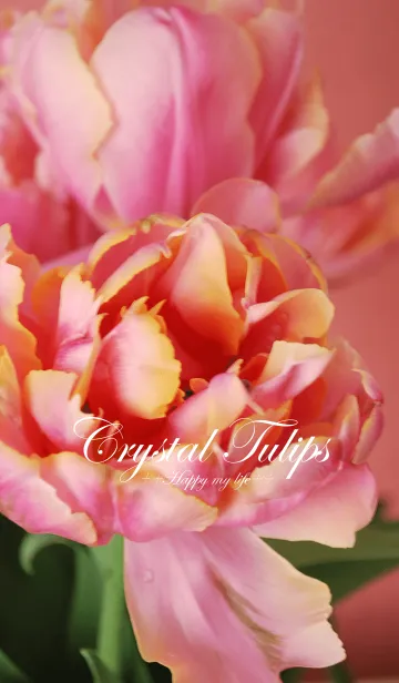 [LINE着せ替え] Crystal Tulipsの画像1